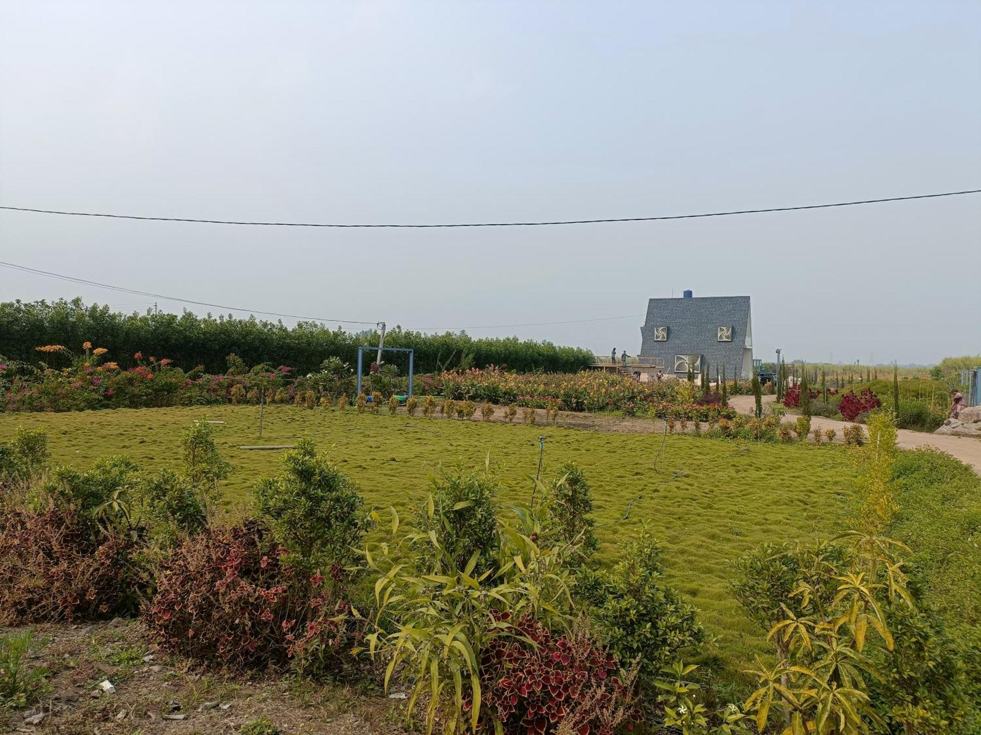 Nisarg Farm Villas 舍地 外观 照片